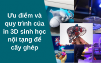 Ưu điểm và quy trình của in 3D sinh học nội tạng để cấy ghép