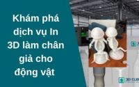 Khám phá dịch vụ In 3D làm chân giả cho động vật